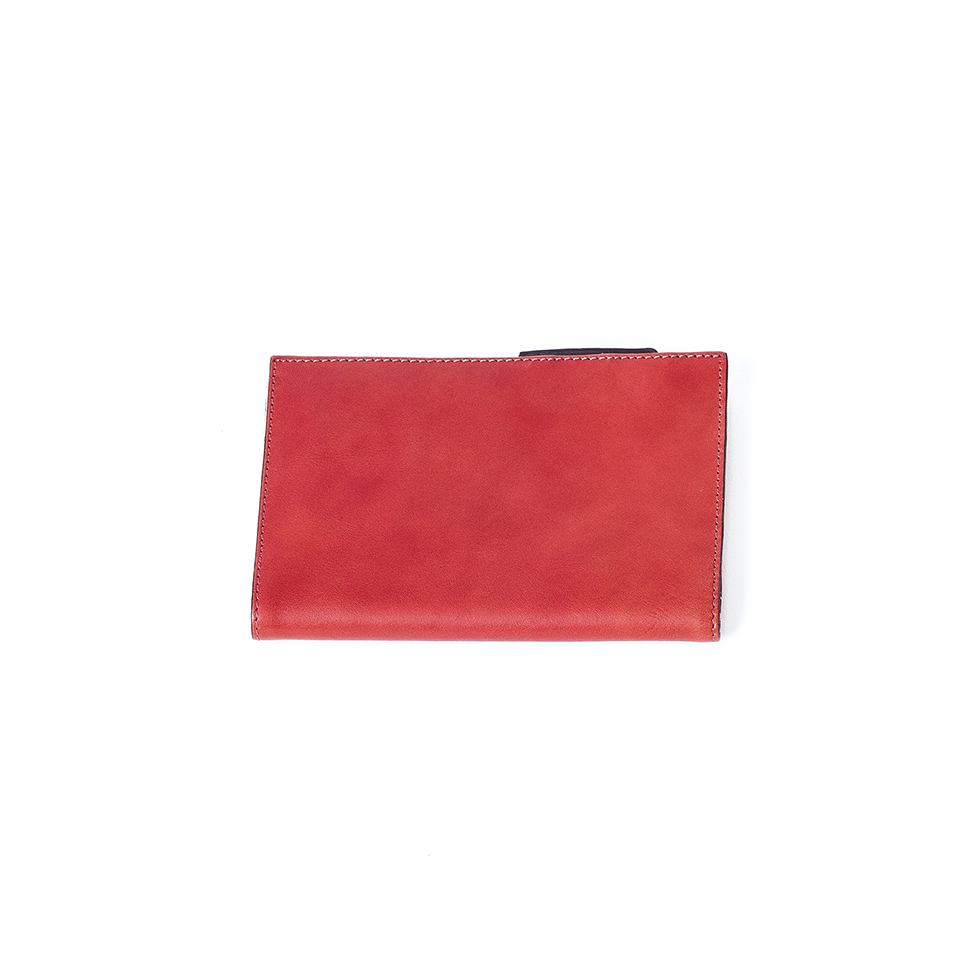 Libro Case Piccolo